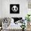 Panda Rocks-Robert Farkas-Stretched Canvas displayed on a wall