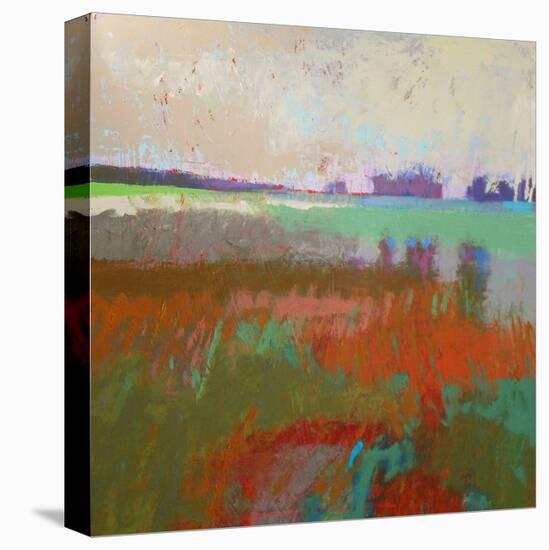 Panorama 2-Jane Schmidt-Stretched Canvas