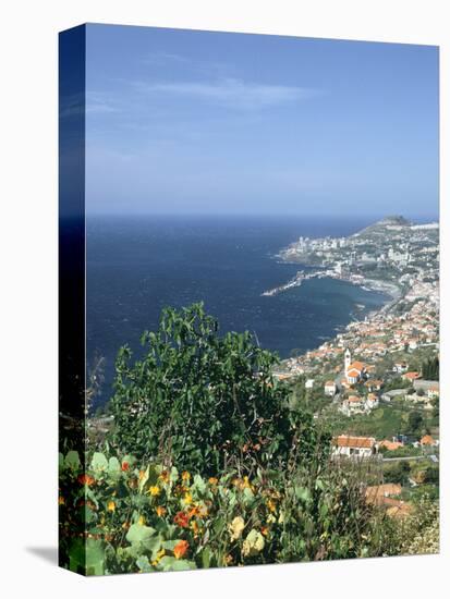 Panorama, Funchal, Madeira, Portugal-Peter Thompson-Premier Image Canvas