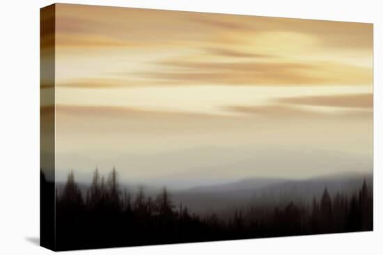 Panorama II-Madeline Clark-Stretched Canvas