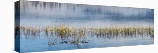 Panorama of lake.-Richard Wright-Premier Image Canvas