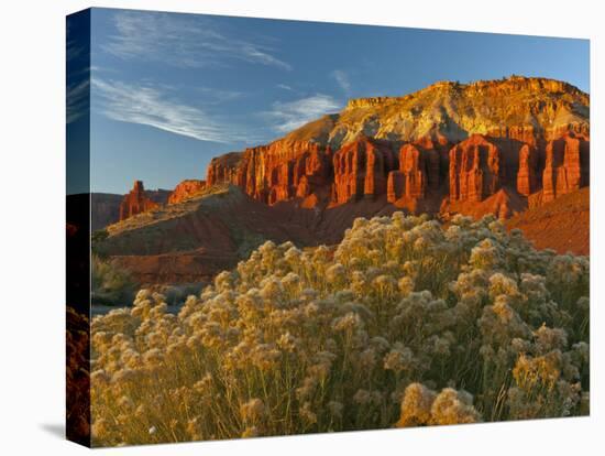 Panorama Point, Capitol Reef National Park, Utah, USA-Cathy & Gordon Illg-Premier Image Canvas