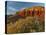 Panorama Point, Capitol Reef National Park, Utah, USA-Cathy & Gordon Illg-Premier Image Canvas