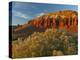 Panorama Point, Capitol Reef National Park, Utah, USA-Cathy & Gordon Illg-Premier Image Canvas