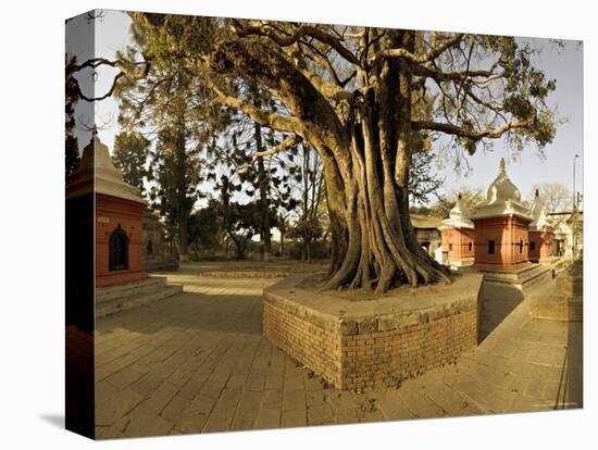 Panorama Produced by Joining Several Images, at One of the Holiest Hindu Sites, Kathmandu-Don Smith-Premier Image Canvas