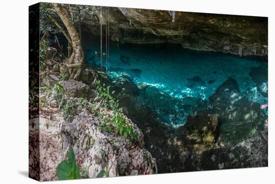 Panorama, Snorkeling Cenote Cavern at Tulum. Cancun. Traveling through Mexico.-diegocardini-Premier Image Canvas