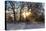 Panorama, Snowscape, Saaler Bodden-Catharina Lux-Premier Image Canvas