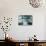 Panoramic Dental X-ray of Impacted Wisdom Teeth-Kaj Svensson-Premier Image Canvas displayed on a wall