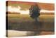 Panoramic Horizon I-Norman Wyatt Jr.-Stretched Canvas