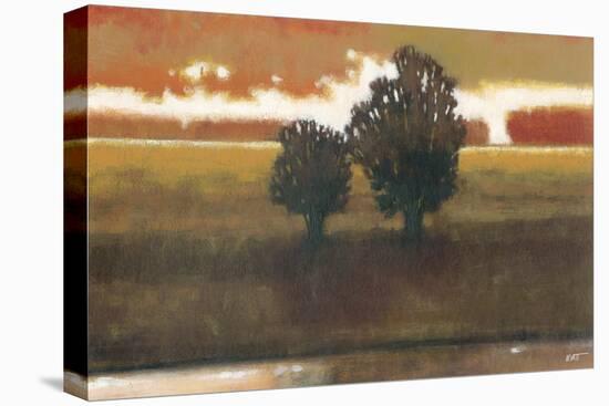 Panoramic Horizon II-Norman Wyatt Jr.-Stretched Canvas