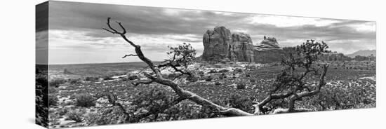 Panoramic Landscape - Arches National Park - Utah - United States-Philippe Hugonnard-Premier Image Canvas