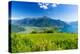 Panoramic of Monte Legnone and Alto Lario from flowering meadows above Lake Como-Roberto Moiola-Premier Image Canvas