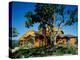 Panoramic View of a Log Cabin on a Hill-null-Premier Image Canvas