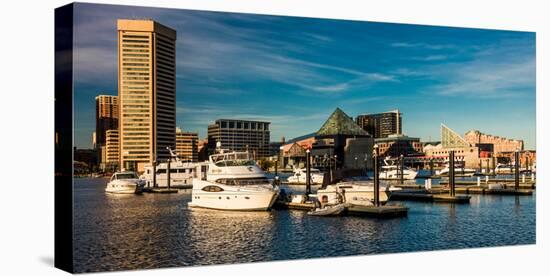 Panoramic view of Baltimore Inner Harbour, Maryland-null-Premier Image Canvas