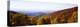 Panoramic view of hilly area covered by forest, Blue Ridge Parkway, North Carolina, USA-Panoramic Images-Premier Image Canvas
