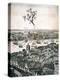 Panoramic View of London, C1670-Wenceslaus Hollar-Premier Image Canvas