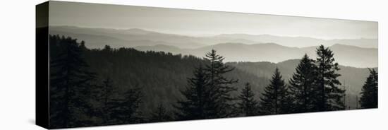 Panoramic View of Trees, Great Smoky Mountains National Park, North Carolina, USA-null-Premier Image Canvas