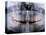 Panoramic X-Ray of Mouth-null-Premier Image Canvas