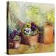 Pansies and Terracotta Pots-Karen Armitage-Premier Image Canvas