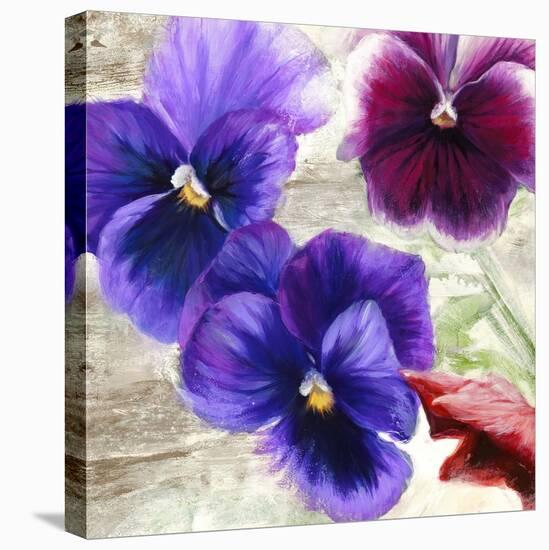 Pansies II-Jenny Thomlinson-Stretched Canvas