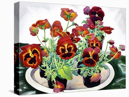 Pansies-Christopher Ryland-Premier Image Canvas