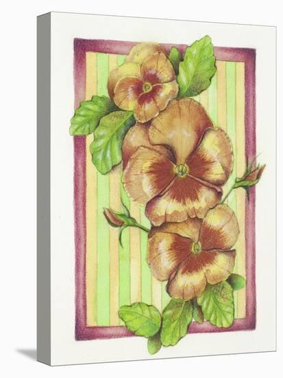 Pansies-Deborah Kopka-Premier Image Canvas