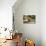 Pantanal, Mato Grosso, Brazil. Portrait of two young Capybaras sitting along the riverbank-Janet Horton-Premier Image Canvas displayed on a wall