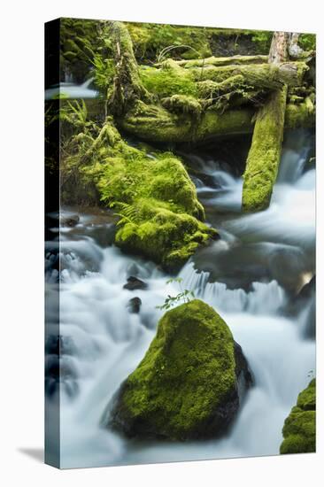 Panther Creek, Gifford-Pinchot Nf, Carson, Washington, Usa-Michel Hersen-Premier Image Canvas