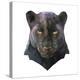 Panther-Lora Kroll-Stretched Canvas