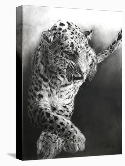 Panthera pardus 1, 2009-Odile Kidd-Premier Image Canvas