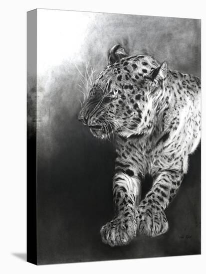 Panthera pardus 2, 2009-Odile Kidd-Premier Image Canvas