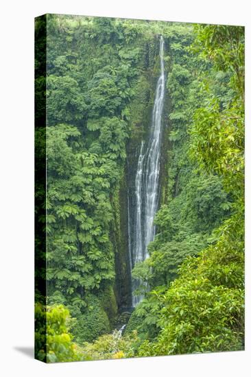 Papapapai-Tai Falls, Upolu, Samoa, South Pacific, Pacific-Michael Runkel-Premier Image Canvas