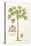 Papaya Tree-Porter Design-Premier Image Canvas