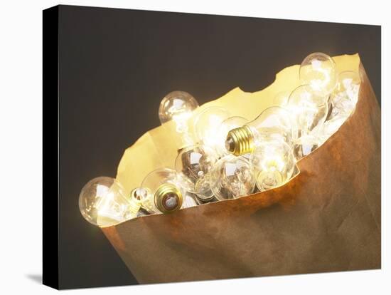 Paper Bag Full of Glass Light Bulbs-null-Premier Image Canvas