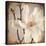 Paper Magnolia Closeup-LightBoxJournal-Premier Image Canvas