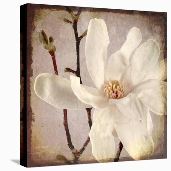 Paper Magnolia Closeup-LightBoxJournal-Premier Image Canvas