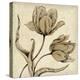Paper Tulip II-Maria Mendez-Stretched Canvas