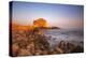 Paphos Castle with rocky shoreline, Paphos harbour, Cyprus, Mediterranean, Europe-John Miller-Premier Image Canvas