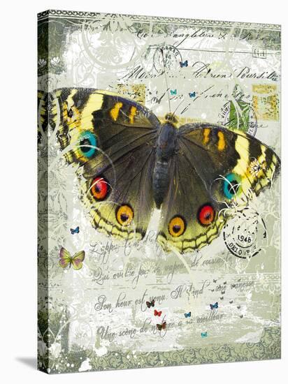 Papillon II-Ken Hurd-Stretched Canvas