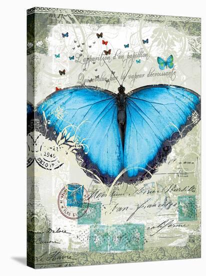 Papillon III-Ken Hurd-Stretched Canvas