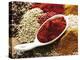 Paprika Powder in Porcelain Spoon on Assorted Spices-Dieter Heinemann-Premier Image Canvas