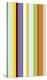 Paprika Stripe-Dan Bleier-Stretched Canvas