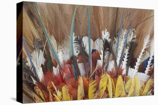 Papua New Guinea, Tufi. Detail of Feather Ceremonial Headdress-Cindy Miller Hopkins-Premier Image Canvas