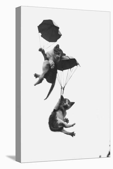 Parachuting Kittens-null-Premier Image Canvas