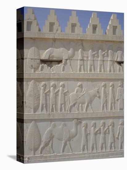 Parade of Nations Carving, Apadana Palace Staircase, Archaeological Site, Iran, Middle East-David Poole-Premier Image Canvas