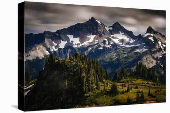 Paradise Area, Mount Rainier National Park, Washington State, USA-Jay Goodrich-Premier Image Canvas