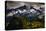 Paradise Area, Mount Rainier National Park, Washington State, USA-Jay Goodrich-Premier Image Canvas