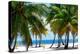 Paradise Beach - Florida - USA-Philippe Hugonnard-Premier Image Canvas