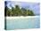Paradise Beach, One Foot Island, Aitutaki, Cook Islands, South Pacific Islands-D H Webster-Premier Image Canvas