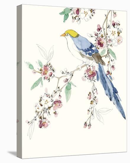 Paradise Bird - Still-Kristine Hegre-Stretched Canvas